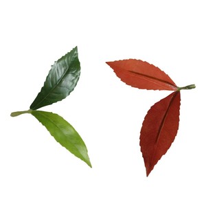 单片仿真红绿叶子塑料假叶片桂花树叶园林大树枯树枝装饰假叶片