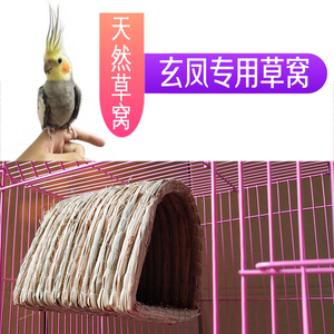 玄凤鹦鹉专用窝用品鸟巢玄风大型鸟窝过冬繁殖孵化冬天保暖用具小