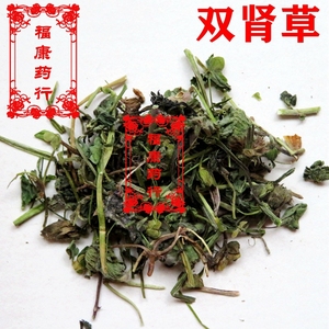 肾阳草