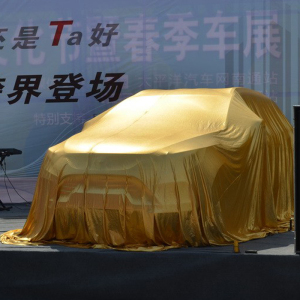 喜庆成都定做轿车用揭幕布珠光纯色新车上市发布汽车盖车交车衣布