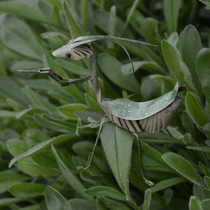 中国草编棕编工艺非遗手工特色创意新品精品螳螂家居桌面摆件礼品