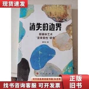 消失的边界——新媒体艺术“亚审美性”研究 滕锐 著