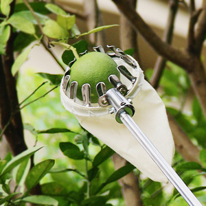 水果神奇器工具