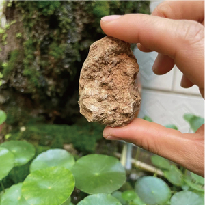 洛阳特产料姜石透水石沙姜石种植牡丹兰花松针营养土盆栽地栽包邮