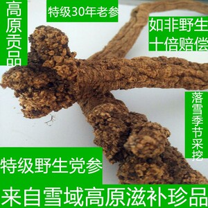 牧民采挖野生党参整根狮子头党参野生潞党参500克包邮 野生党参段