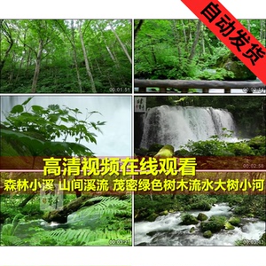 小河视频素材
