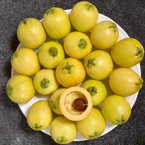水新鲜水果叮当果 水蒲桃 蒲桃果响鼓香果自种水番桃优质水果一斤