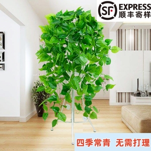 仿真植物大盆栽装饰塑料绿萝摆设空调上放的客厅绿植吊兰假花垂吊
