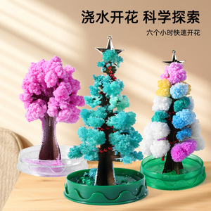 纸树开花圣诞树魔法樱花浇水结晶魔法树桌面创意玩具礼品礼物玩具
