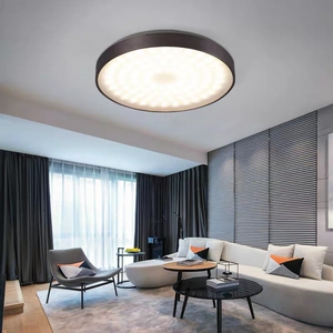 新特丽吸顶灯 呢喃璀璨系列 现代北欧风格烟花特色发光卧室客房