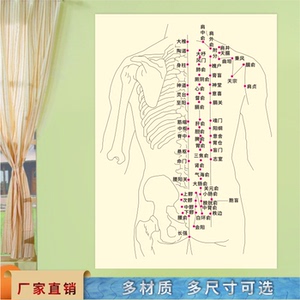背部经络穴位按摩图艾灸针灸人体中医养生美容院养生写真宣传海报