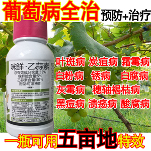 葡萄病全治葡萄杀菌剂霜霉病炭疽病白粉病灰霉病溃疡病叶斑病枯病