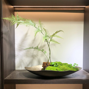 现代轻奢仿真金丝猴蕨绿植装饰 售楼处酒店会所 软装植物盆景摆设