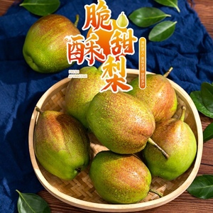 山东正宗媚梨七号 阳信特产富硒梨新鲜5斤媚梨批发代发