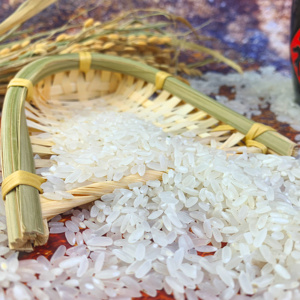 东北梧桐河大米