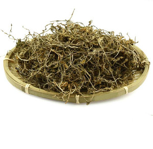 优质中药材垂盆草 狗牙半支 石指甲 养鸡草中草药500克满68元包邮