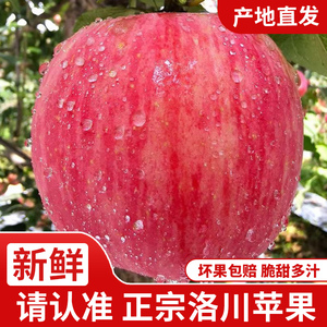 正宗洛川苹果陕西红富士苹果新鲜水果当季整箱礼盒不打蜡产地直发