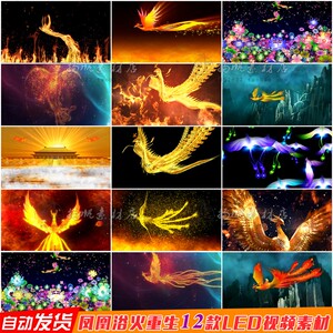 同款货源嗨爹你来了淘宝凤凰大视野 凤凰卫视 纪录片全集 2004