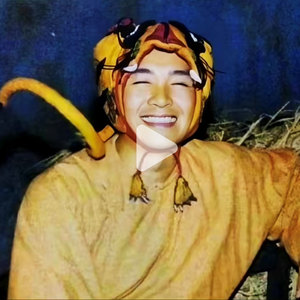 【鹿鼎记周星驰老虎帽子】鹿鼎记周星驰老虎帽子品牌,价格 - 阿里巴巴