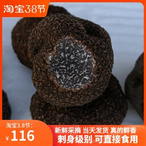 云南姬松茸新鲜