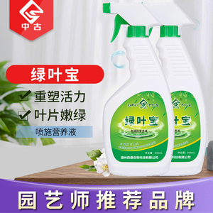 绿叶宝花肥料花草多肉绿萝吊兰专用营养液通用型液体肥盆栽叶面肥