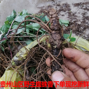 00弘仁药业淘宝同仁堂