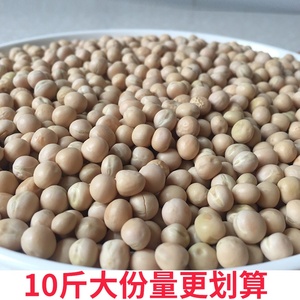 云南散装干豌豆10斤生的新鲜干货做芽菜种子重庆小面白皮黄心大粒