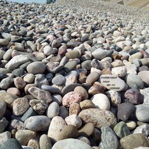 天然鹅卵石 河卵石1-2-3-5-8-10-12-15-20-30公分以上铺路滤料用