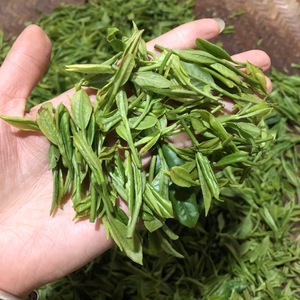 [浓香型]黄山毛峰野茶2021高山明前特级手工茶栗兰香500克包邮