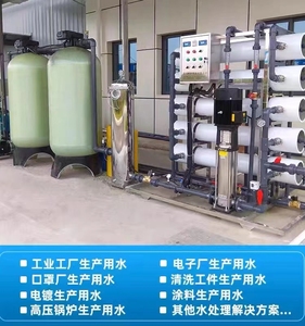 ro双级反渗透纯净水EDI超纯水高纯水生产设备水处理装置