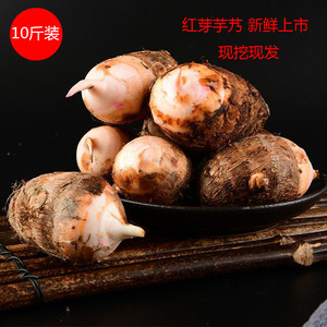 金华新鲜红芽芋艿小芋头香芋(10斤装)现挖现发