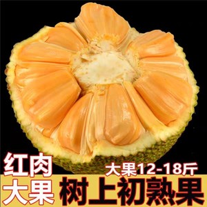泰国红肉菠萝蜜红心当季新鲜水果木菠萝大果一整个树熟进口包邮