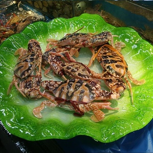 潮汕野生红花蟹花蟹锈斑蟹活蟹1斤1-2只 1份1斤 3份顺丰活寄包邮