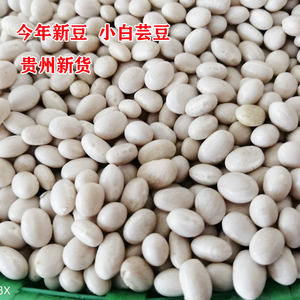 新货贵州特产小白豆小白芸豆芸豆白豆饭豆珍珠豆本地小白豆10斤装