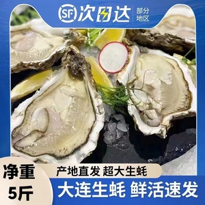 大连生蚝新鲜海蛎子鲜活刺身非乳山特大牡蛎5斤10斤生食海鲜带壳