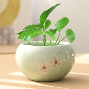 简约陶瓷哥窑开片釉面铜钱草绿萝睡莲碗莲无底孔水培小花盆小花器