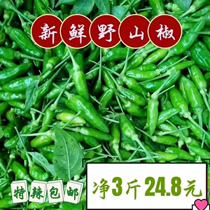 现摘新鲜野山椒朝天椒特辣青小米指天椒香辣剁椒炒菜凤爪泡椒3斤