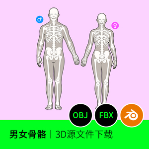 男性女性骨骼骨架身体全身人体角色头骨3d模型素材下载三维301