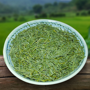 野生松针茶500g特级全松茶广西二针松高山马尾松新鲜货阴干松针叶