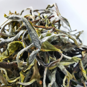 【茶样】2022年巅清摆尾箐古树茶16克试喝装春茶普洱茶生茶包邮