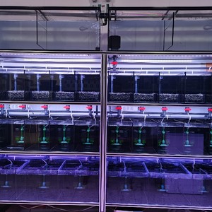 孔雀鱼鼠鱼系统缸组缸繁殖专用缸特殊尺寸超低价订制包邮包损