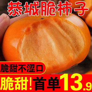 恭城脆柿子大果广西农家新鲜9斤脆柿应季巧克力脆甜柿子硬柿子5斤