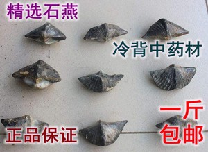 中药材 天然石燕 燕子石 水飞石燕 500克16元 促销包邮 量大价优