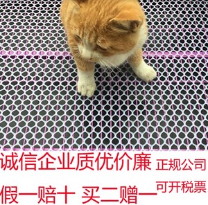 定制宠物猫笼脚垫狗兔鸽子塑料网格垫阳台防护网隔离网片专用垫板