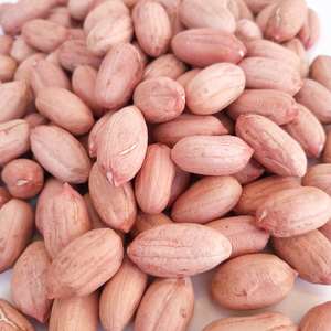 大粒花生米特大特级