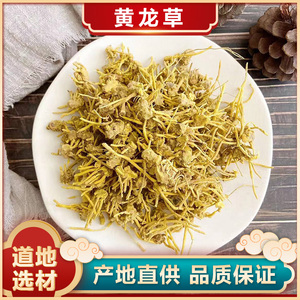 正宗特级青藏高原雪山黄龙草根头含须条野生根茎龙须草根茶中药材