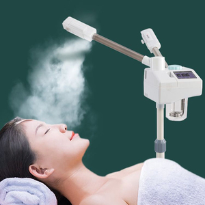 泰东双喷注氧仪水疗补水美容院喷雾机蒸汽热喷熏蒸眼仪家用蒸脸器
