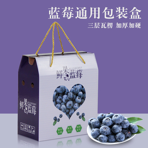 高档蓝莓礼盒包装盒水果鲜果手提纸箱透明塑料天地盖礼品盒批发