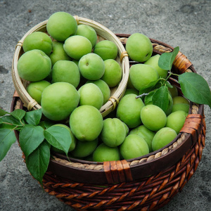 广东新鲜青梅鲜果泡酒水果梅子酵素梅青梅果同城现摘顺丰包邮