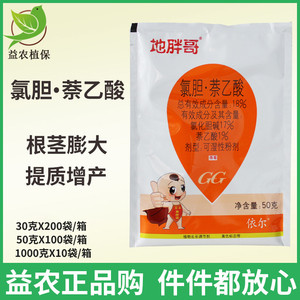地胖哥 氯胆萘乙酸 氯化胆碱 三七白术大姜土豆地下根茎块膨大剂